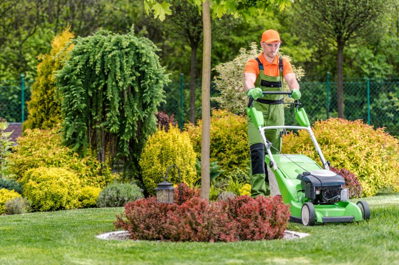 Spring Lawn Preparation