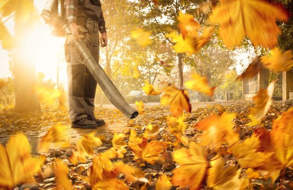Leaf Blowing Service in Harrisburg