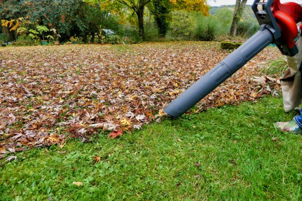 Leaf Vacuuming Service in Harrisburg