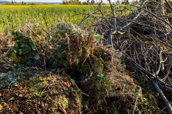 Brush Disposal in Harrisburg