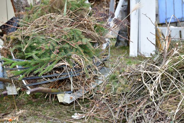 Yard Waste Removal Service in Harrisburg