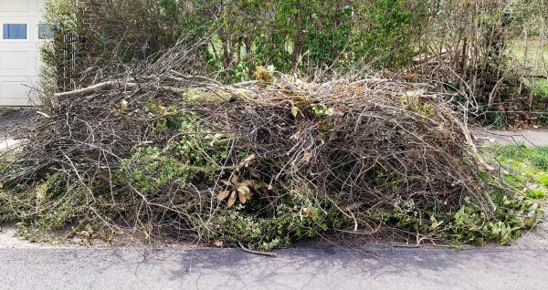Tree Limb Cleanup in Harrisburg