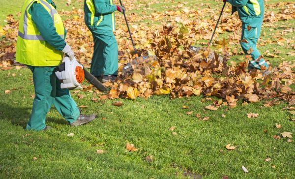 Leaf Maintenance in Harrisburg