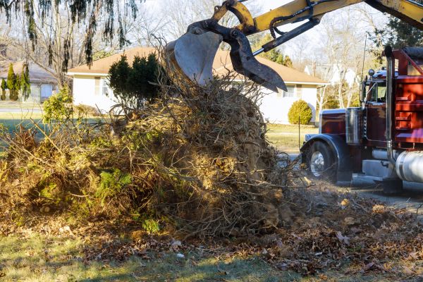 Storm Debris Removal in Harrisburg