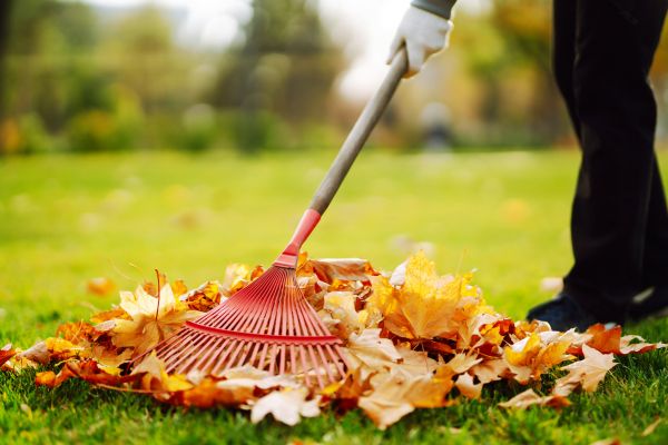 Ditch Leaf Removal in Harrisburg
