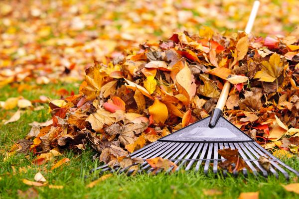 Yard Leaf Removal in Harrisburg