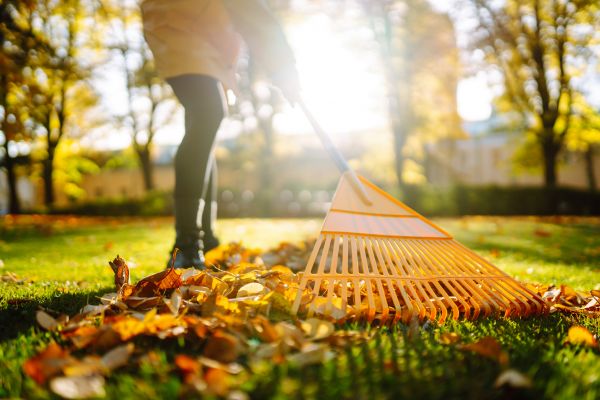 Leaves Raking in Harrisburg