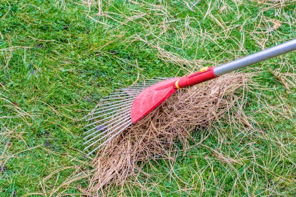 Yard Raking in Harrisburg