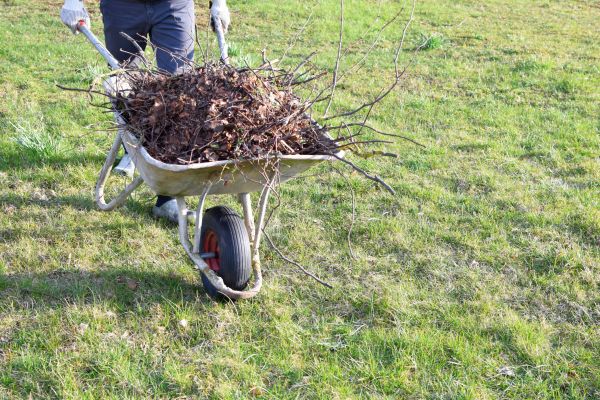 Yard Brush Removal in Harrisburg