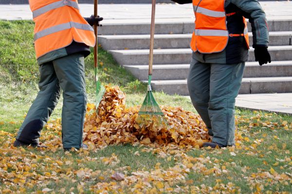 Leaf Hauling Service in Harrisburg
