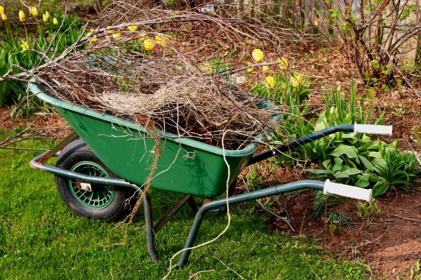 Lawn Waste Removal in Harrisburg