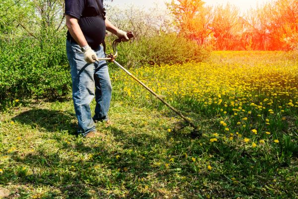 Yard Clearing Service in Harrisburg
