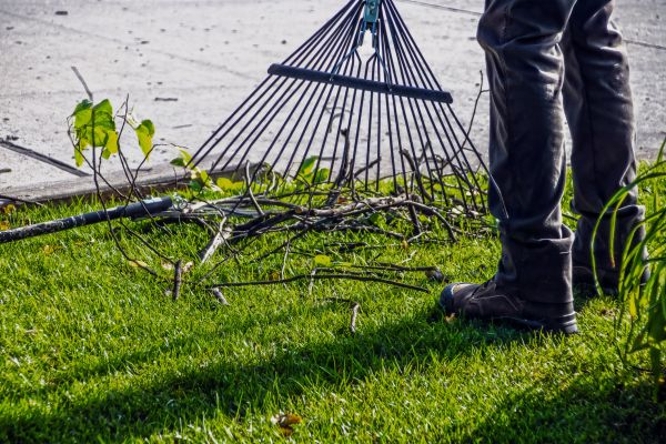 Yard Debris Cleanup in Harrisburg
